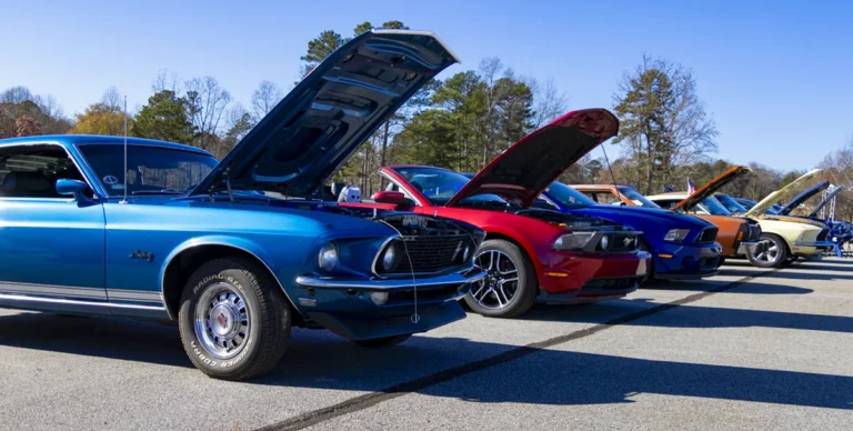 A row of classic cars with their hoods up at the car show